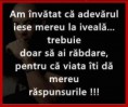 /album/ana/a1002477-378916072231861-1664619621-n-copy-jpg/